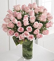 ורוד בעיניים ורוד בעיניים